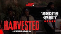 harvested - on culture tv - on culture tv - harvested - on culture tv 